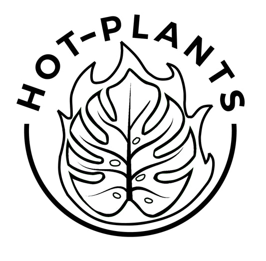 Hot Plants - Gutschein